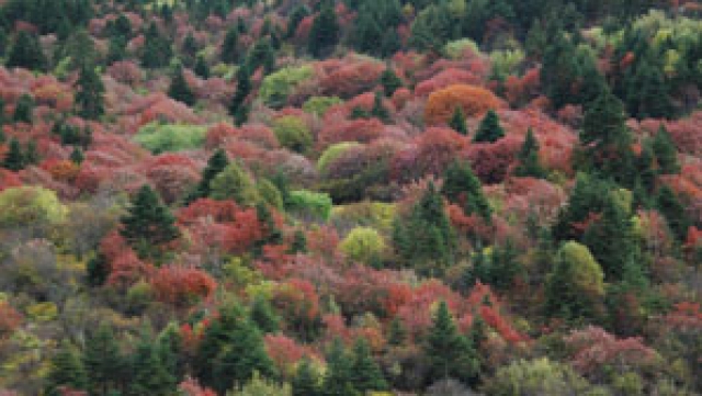 Sights in Shangri-La (Zhongdian) &amp; Dechen
